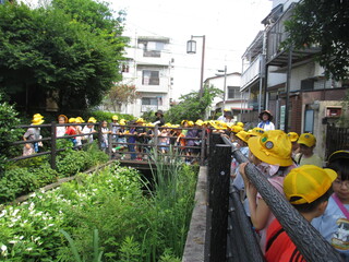 町たんけん