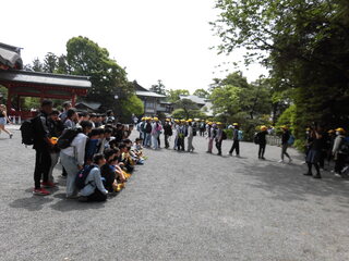 鶴岡八幡宮