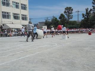 運動会の様子