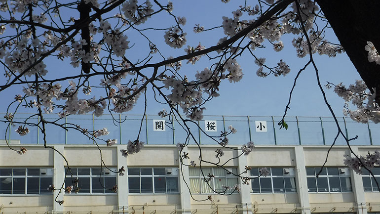 開桜小学校の画像