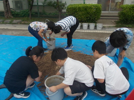 5年