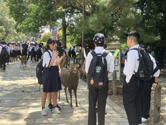 nara3