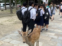 nara5