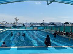 日除け