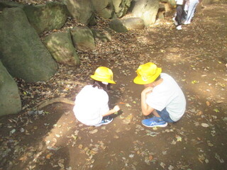 どんぐりや、落ち葉を拾いました。