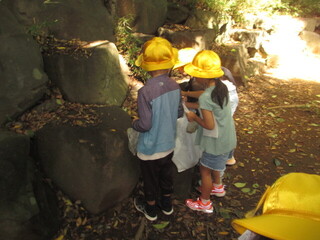 見つけた秋を教えてくれています。