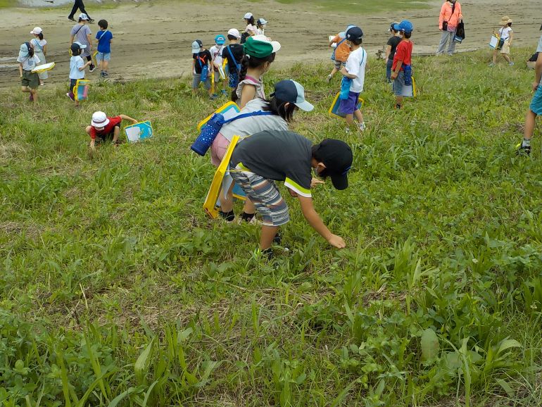 嶺町小学校の画像8