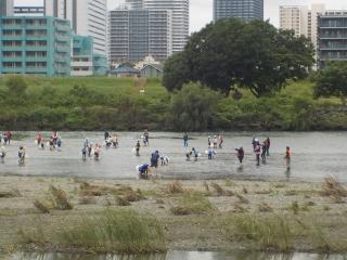 多摩川活動3