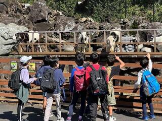 伊豆高原移動教室