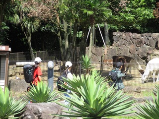 シャボテン公園