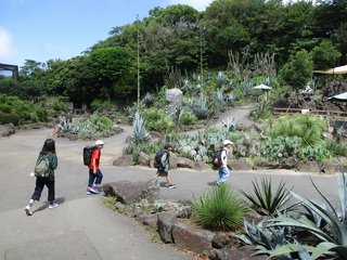 シャボテン公園