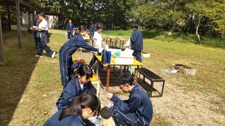 手際がいいね！