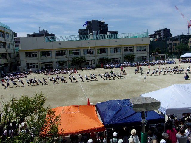 2年綱引き