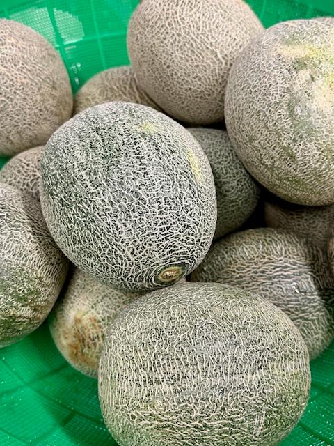 メロン