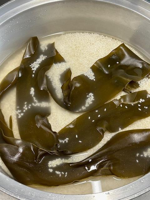 ごはん