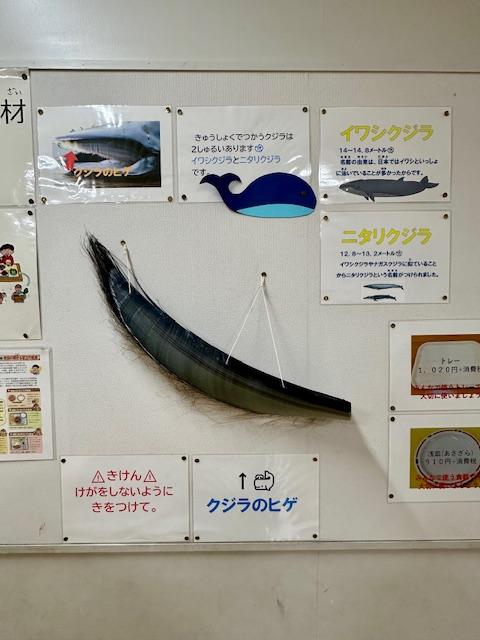くじら