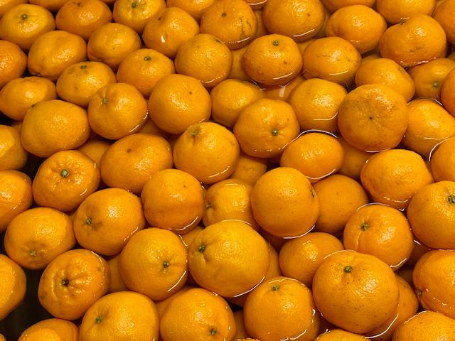ぽんかん