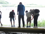 野鳥公園