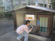 ウサギ小屋の生き物をパシャリ