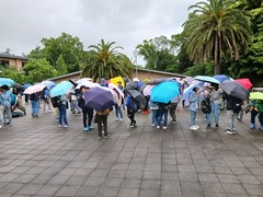 雨