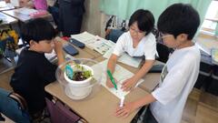 理科の学習