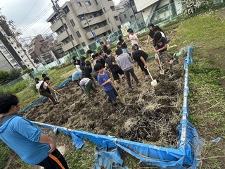 5年1組の田おこしの様子