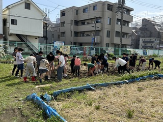 田おこし