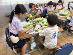 とうもろこしの皮むき