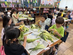 とうもろこしの皮むき